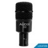 Micro D2 Audix