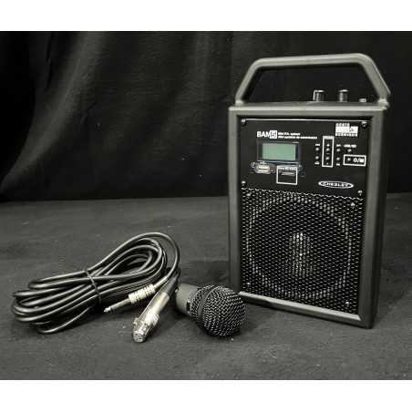 Enceinte autonome BAM5 Chesley